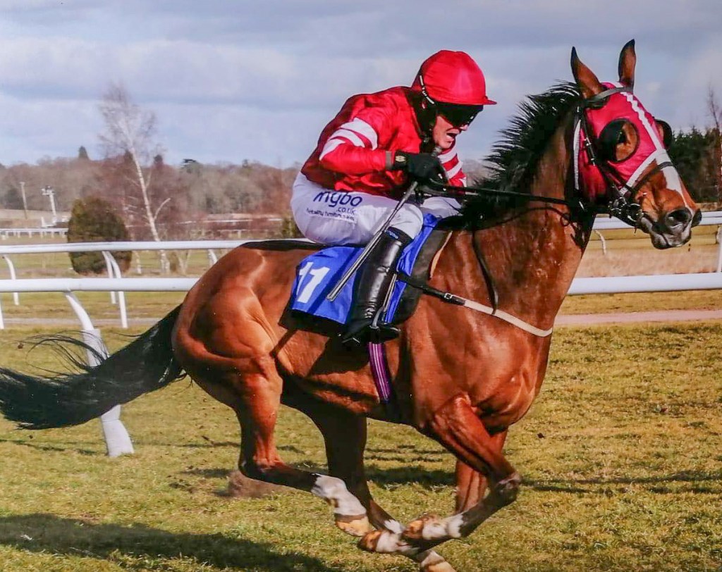 Pudsey is a very friendly ex-racehorse who joined us back June 2019. He's an absolute sweetheart and loves spending time with his owners. 